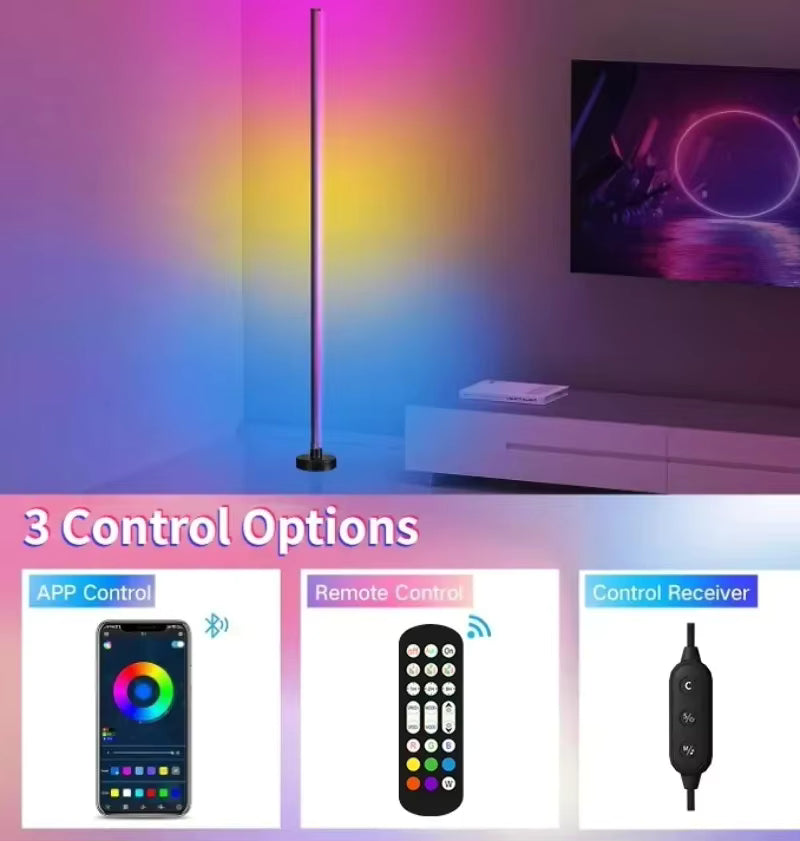 EISSLOLY 2 pièces lampadaire RGB Intelligent APP contrôle musique éclairage d'angle synchronisé décoration de salle lumières sur pied - DeLeds
